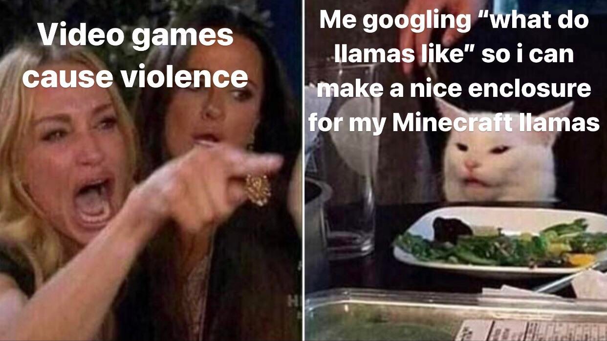 Woman yelling at a cat meme about video game stereotypes vs wholesome play