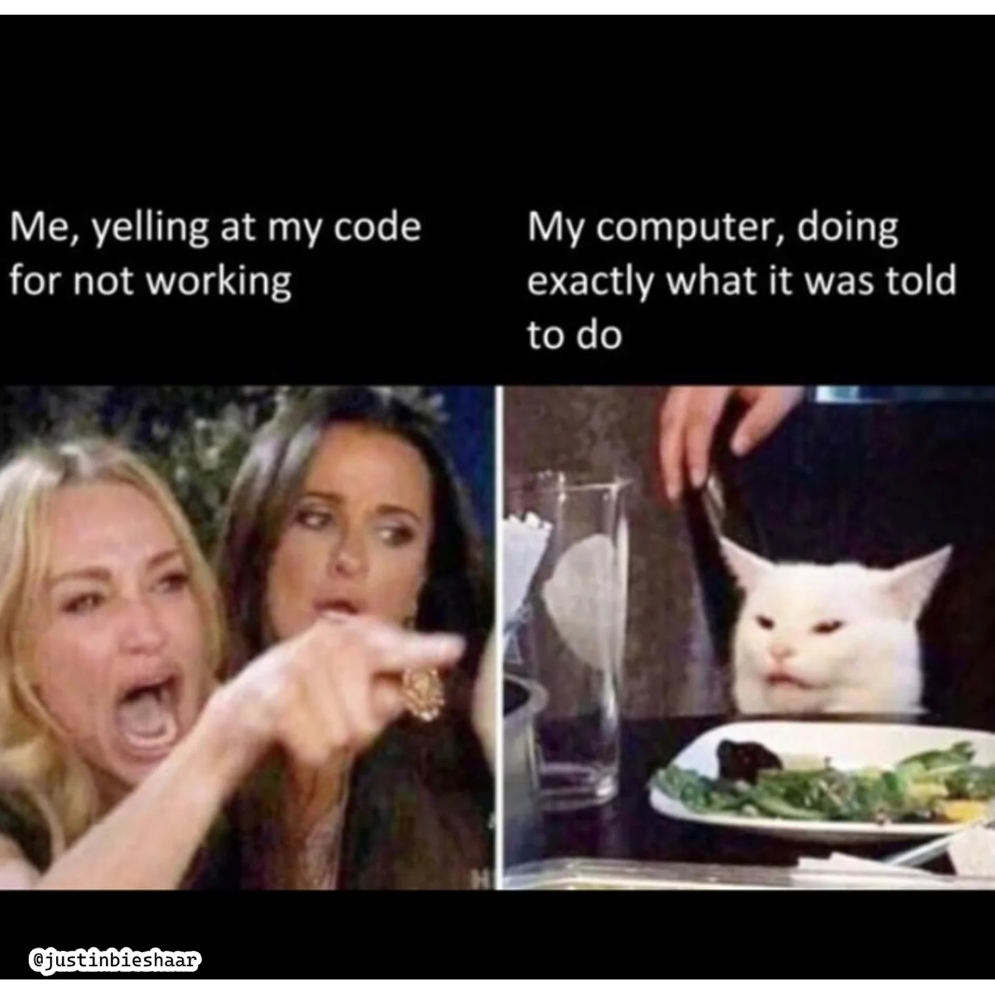 Woman yelling at a cat meme about debugging frustration with computers