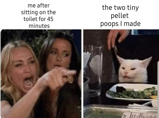 Woman yelling at a cat meme about disappointing bathroom results