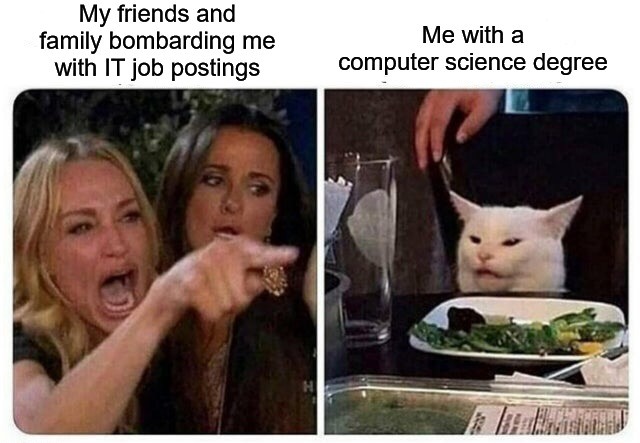 Woman yelling at a cat meme about cs grad being spammed with it jobs