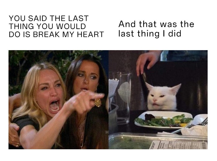 Woman yelling at a cat meme about relationship betrayal irony