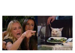 Woman Yelling at a Cat Meme Template