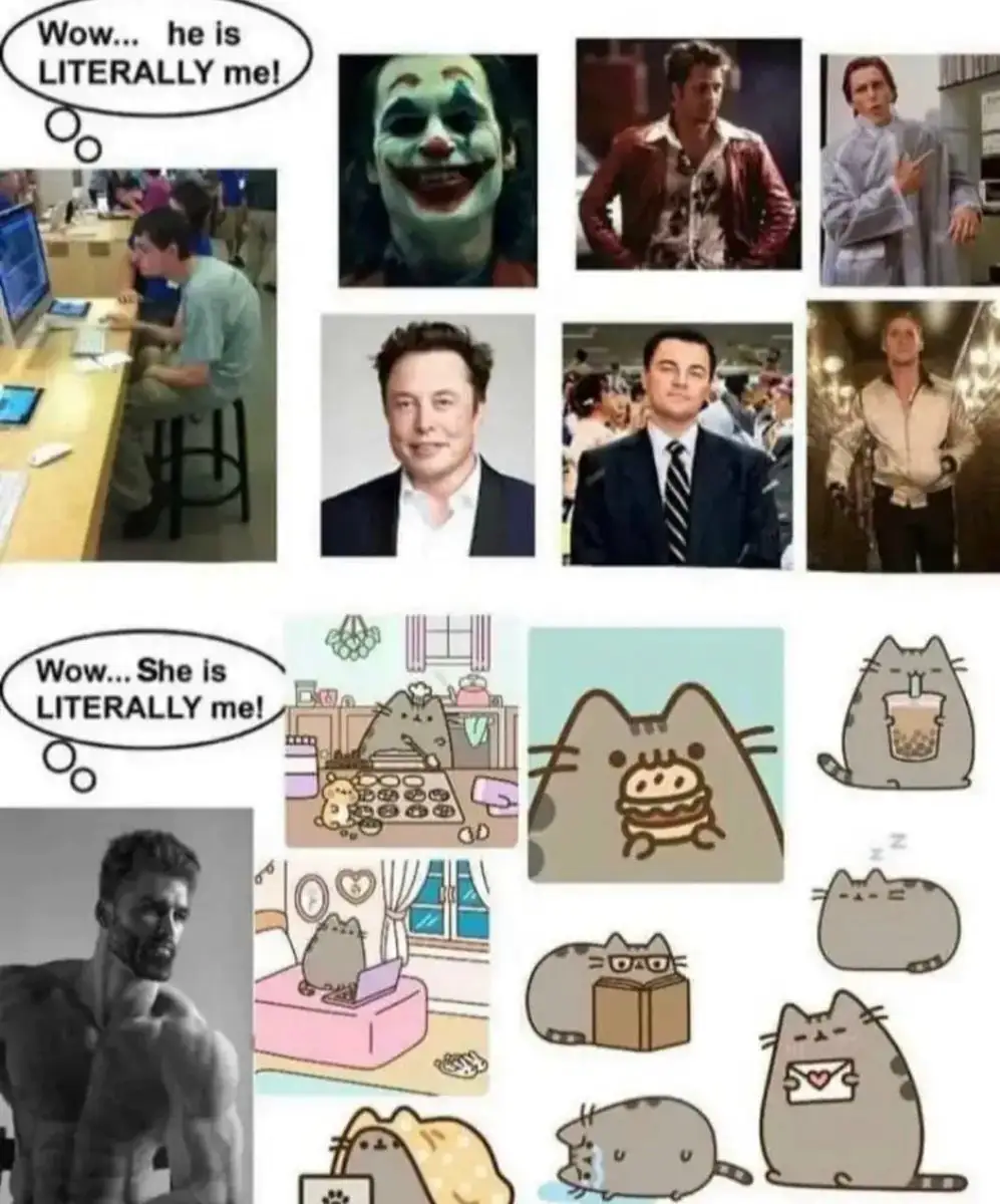 Literally Me Meme Vs Pusheen Literally Me Meme
