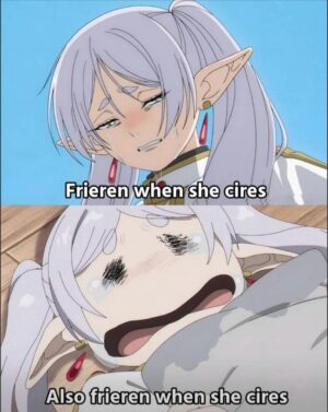 Frieren meme crying hard when she actually cares
