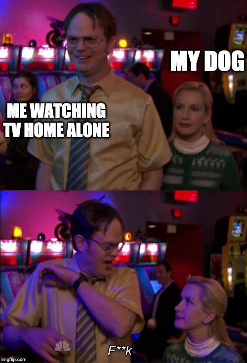 Angela scares dwight meme reacting to dog interrupting tv time