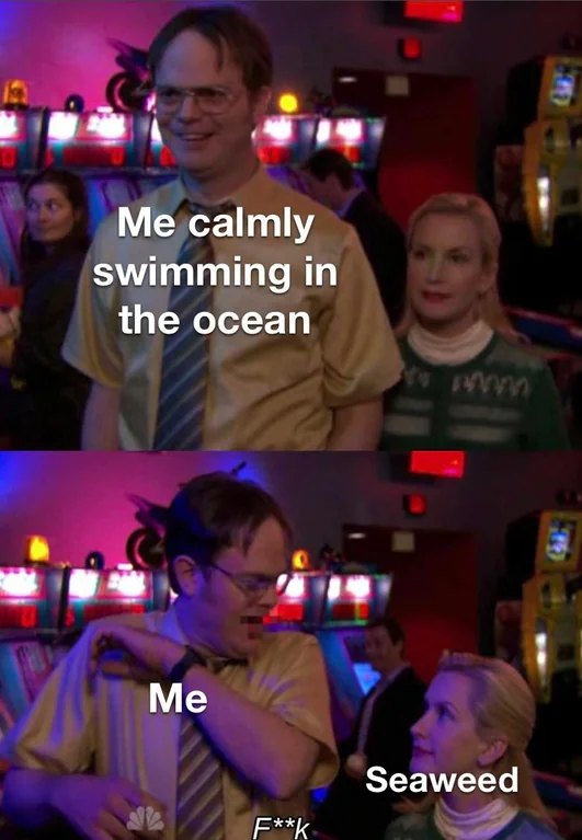 Angela scares dwight meme reacting to seaweed while swimming in ocean