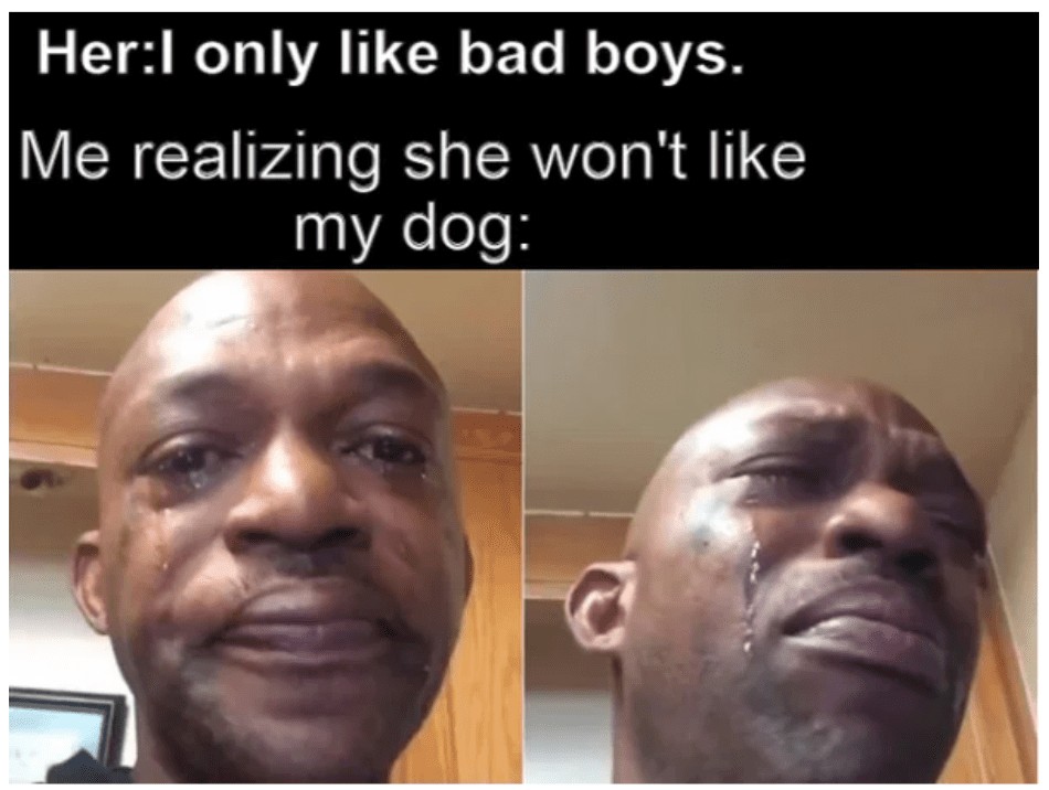 Black man crying meme about liking bad boys and my dog