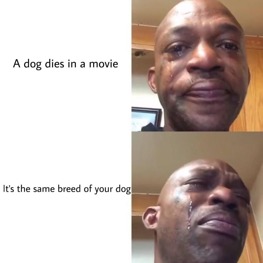 Black man crying meme about a movie dog dying same breed as yours