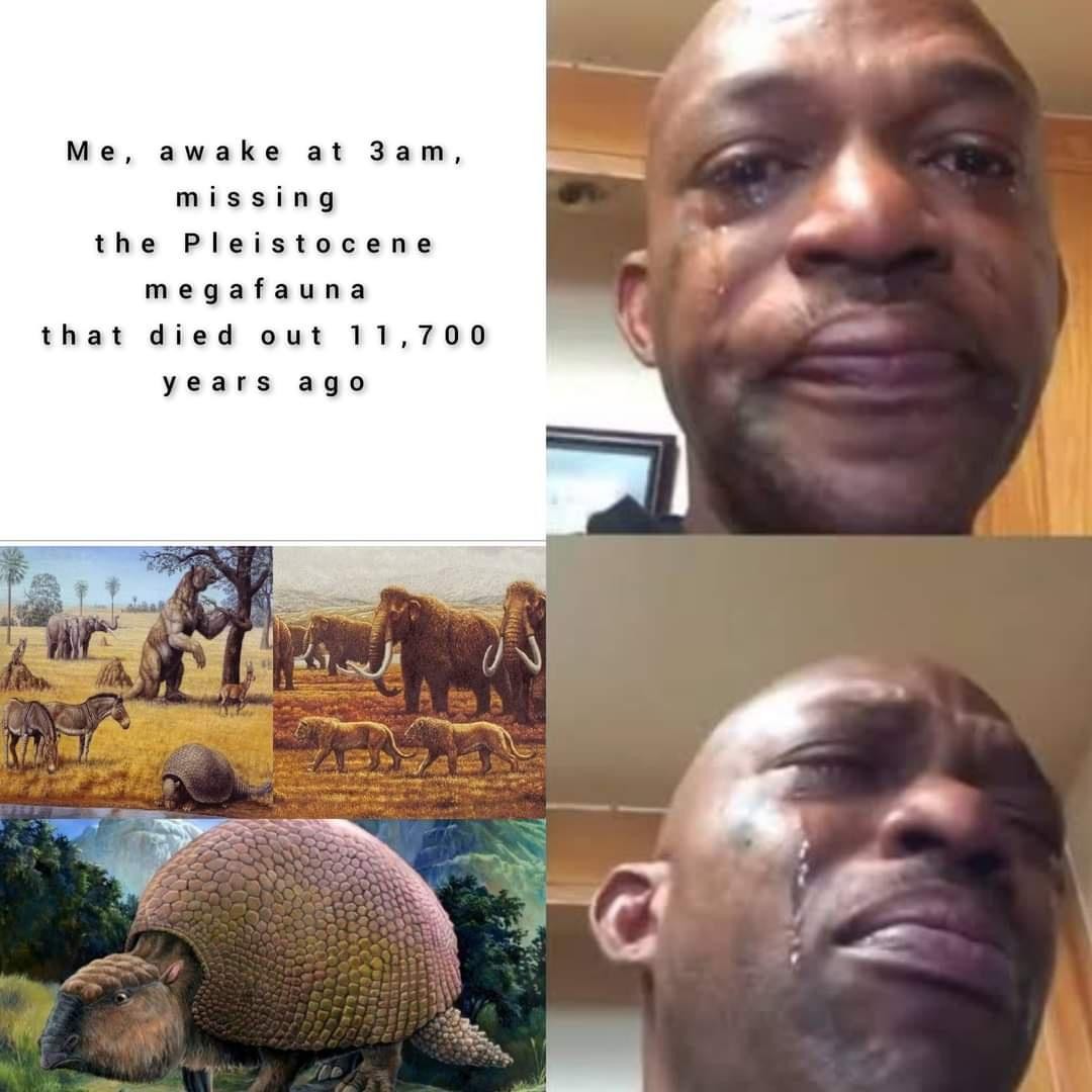 Black man crying meme about missing extinct pleistocene megafauna at 3am
