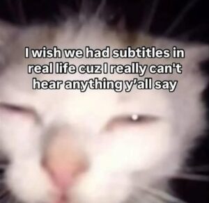 Squinting cat meme wishing real life has subtitles when can't hear what others say