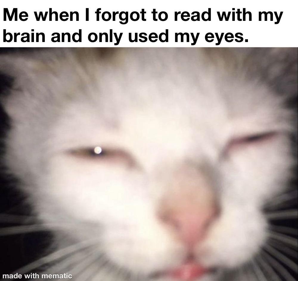 Squinting cat meme dazed when forgetting to read with brain only using eyes