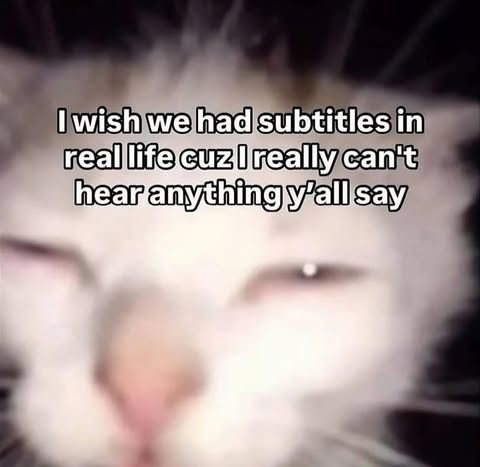 Squinting cat meme wishing real life has subtitles when can't hear what others say