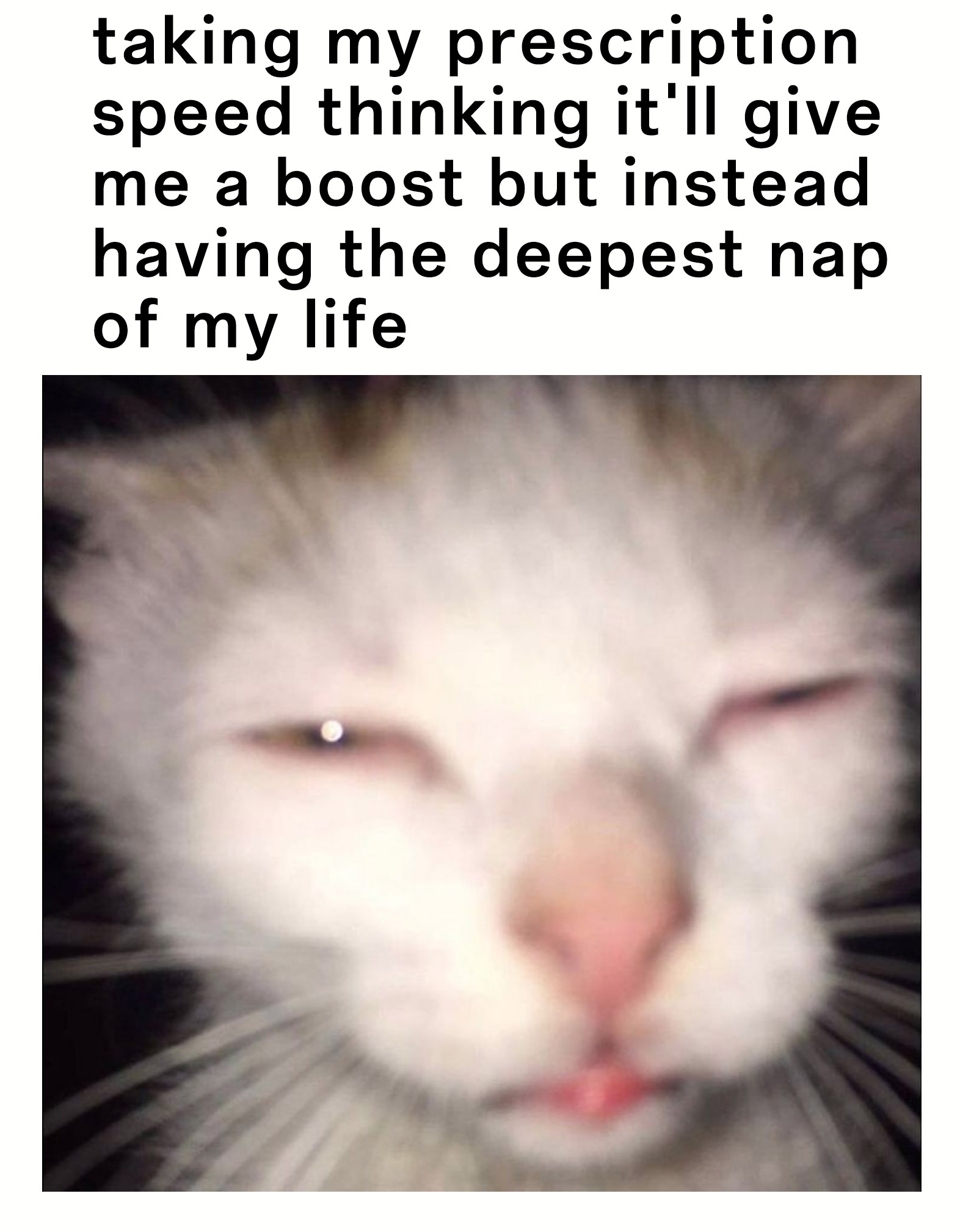 Squinting cat meme taking prescription speed for a boost then having the deepest nap