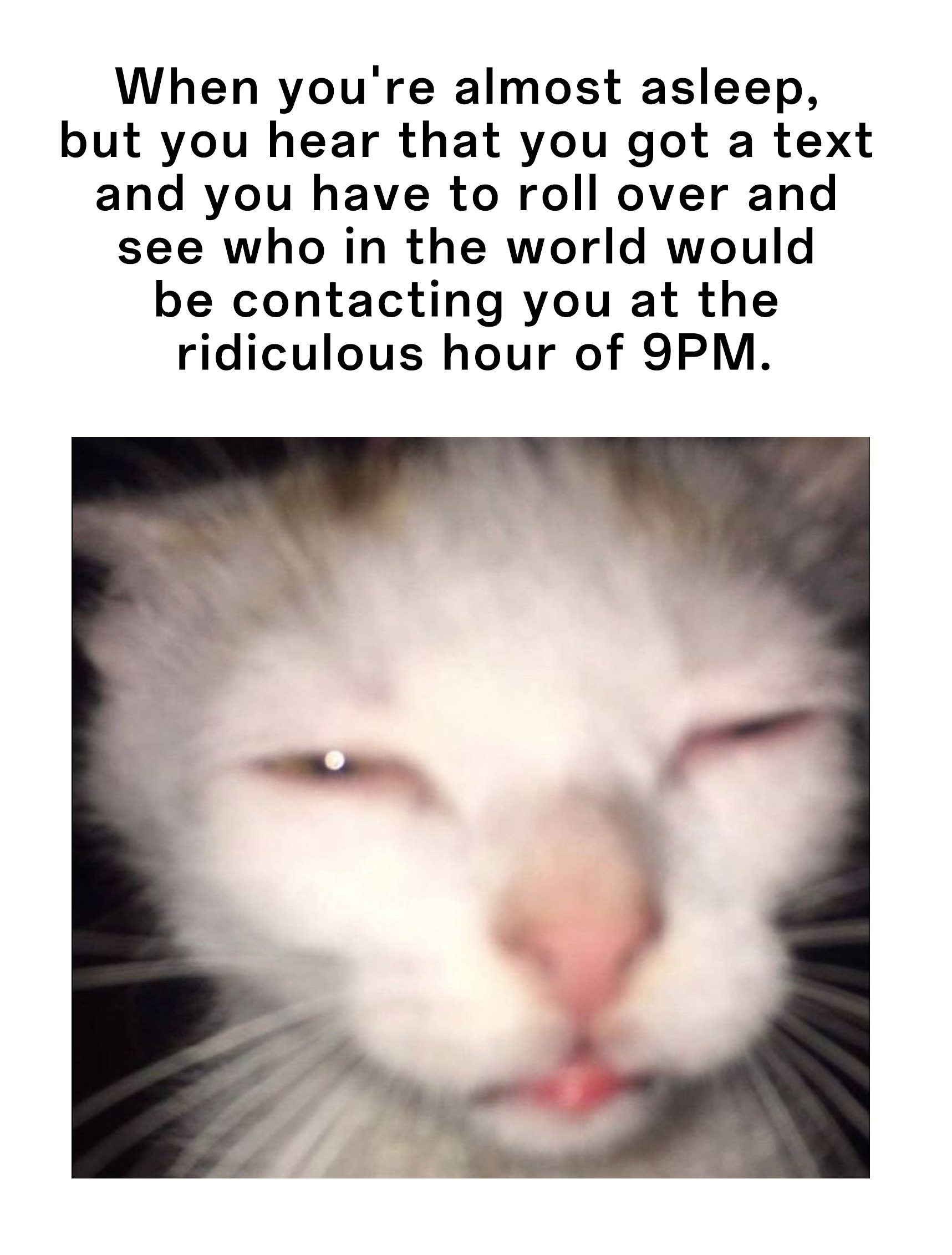 Squinting cat meme rolling over to check text when almost asleep at 9pm
