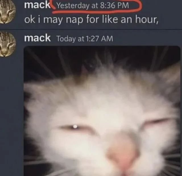 Squinting cat meme over napped after planning to only take a one hour nap
