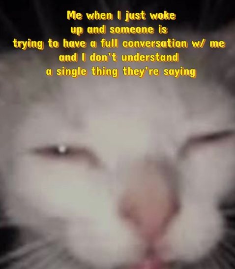 Squinting cat meme just woke up confused when someone talks and I understand nothing