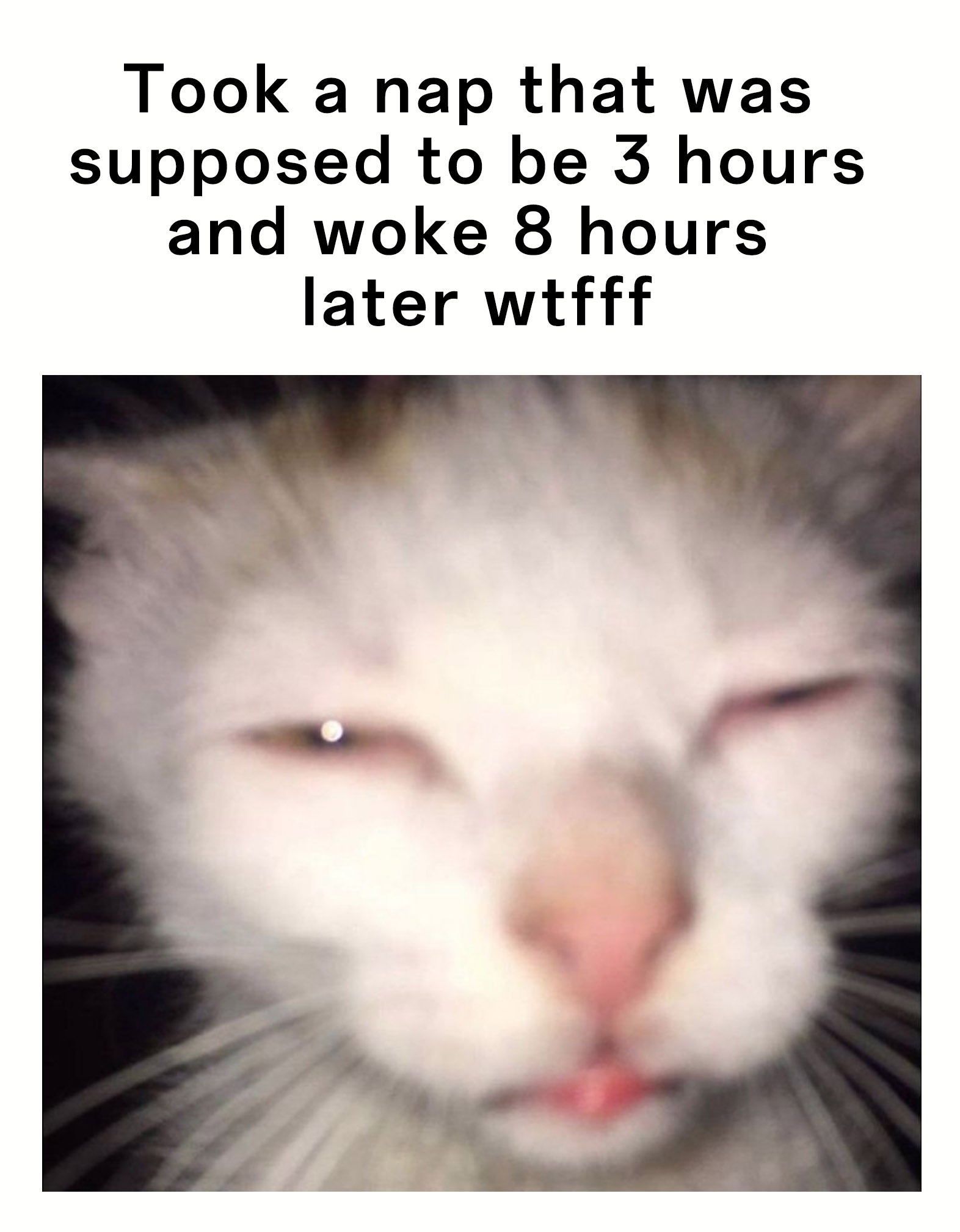 Squinting cat meme overslept 8 hours after taking a planned 3 hour nap