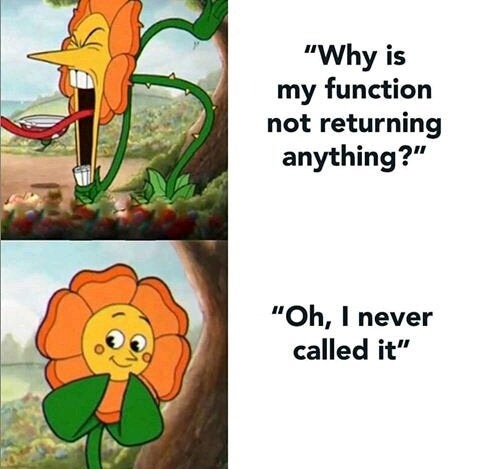 Cuphead flower meme debugging panic over uncalled function
