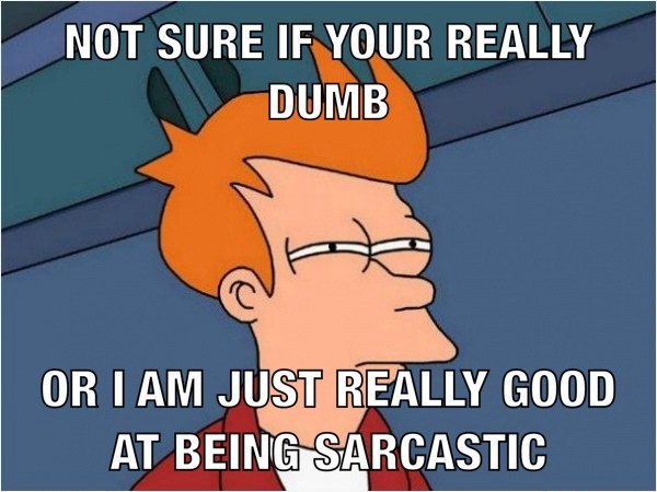 Futurama Fry Memes That Nailed That Exact Not Sure If Squint (14)