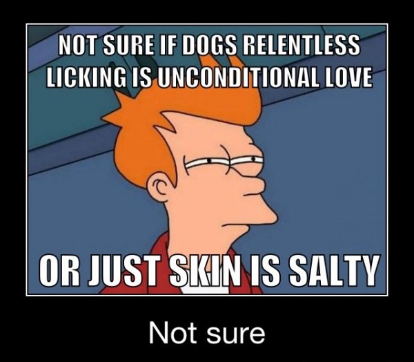 Futurama Fry Memes That Nailed That Exact Not Sure If Squint (2)