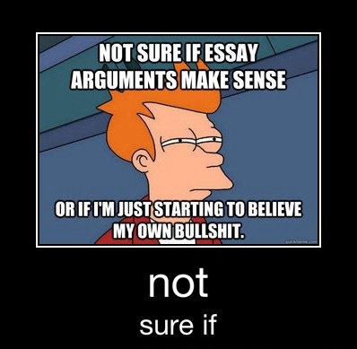 Futurama Fry Memes That Nailed That Exact Not Sure If Squint (3)