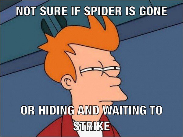 Futurama Fry Memes That Nailed That Exact Not Sure If Squint (4)
