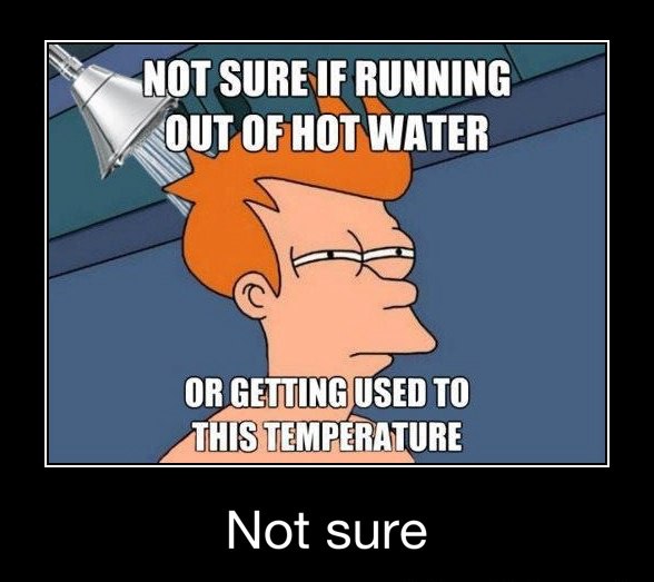 Futurama Fry Memes That Nailed That Exact Not Sure If Squint (5)
