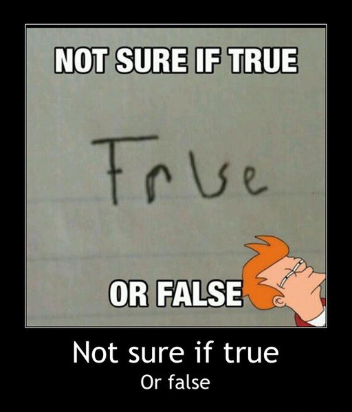 Futurama Fry Memes That Nailed That Exact Not Sure If Squint (8)