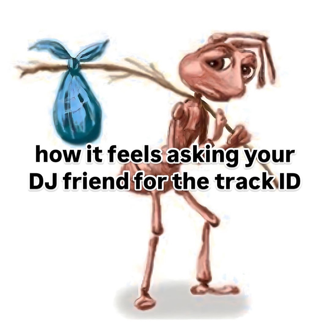 Homeless ant meme awkwardly asking DJ friend for track ID