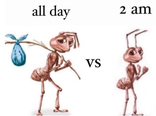 Homeless ant vs excited ant meme showing day vs 2 am energy