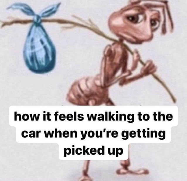 Homeless ant meme awkwardly walking to the car when getting picked up