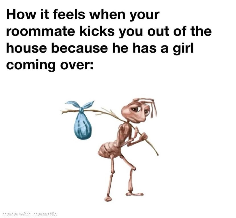 Homeless ant meme getting kicked out by roommate for a girl