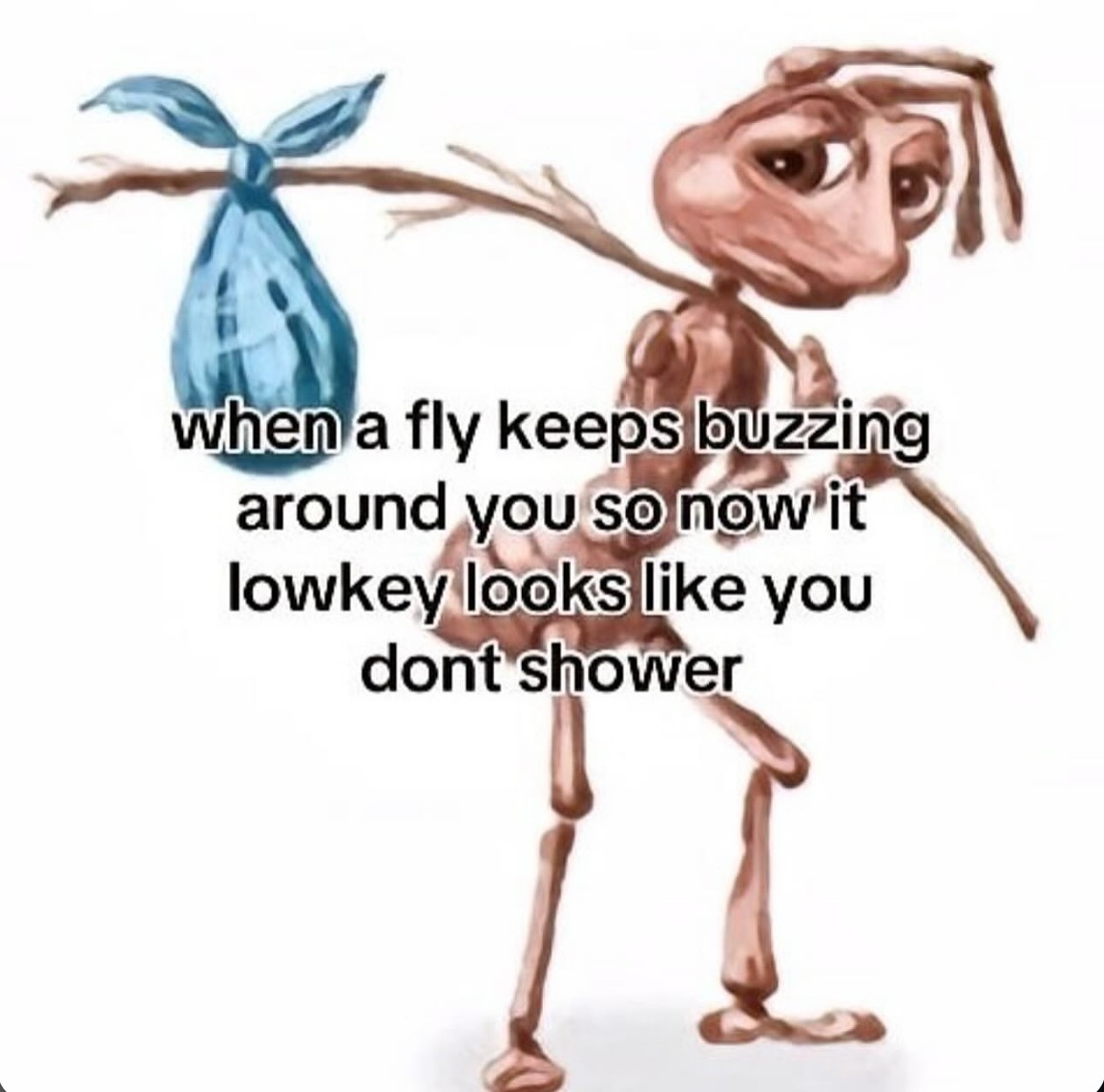 Homeless ant meme annoyed by fly making it look like he doesn't shower