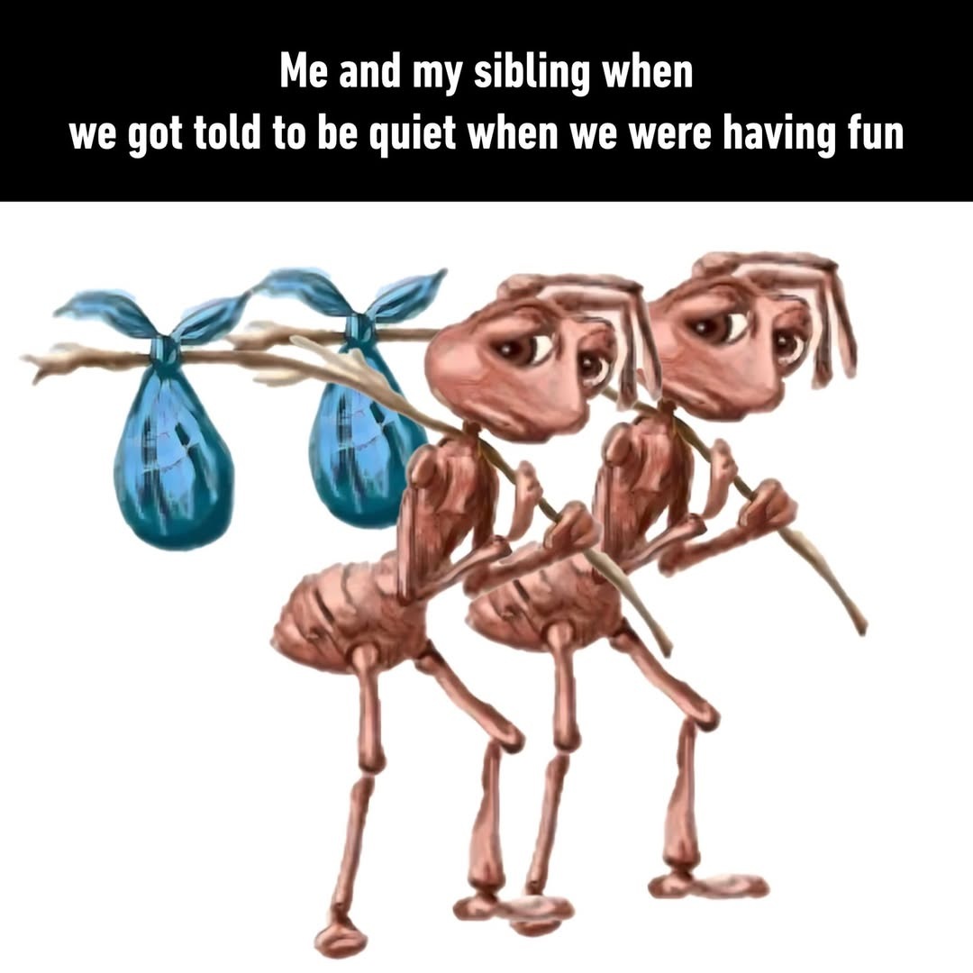 Homeless ant siblings meme told to be quiet while having fun