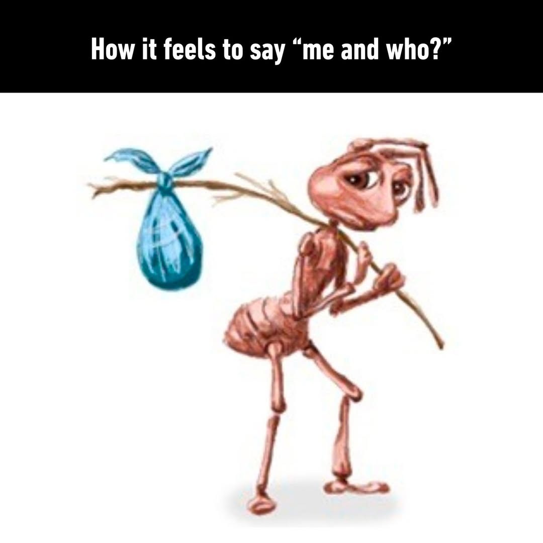 Homeless ant meme looking sad while asking "me and who?"