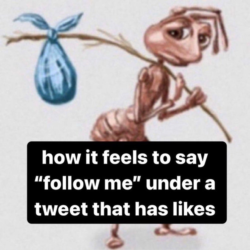 Homeless ant meme awkwardly saying "follow me" under a liked tweet