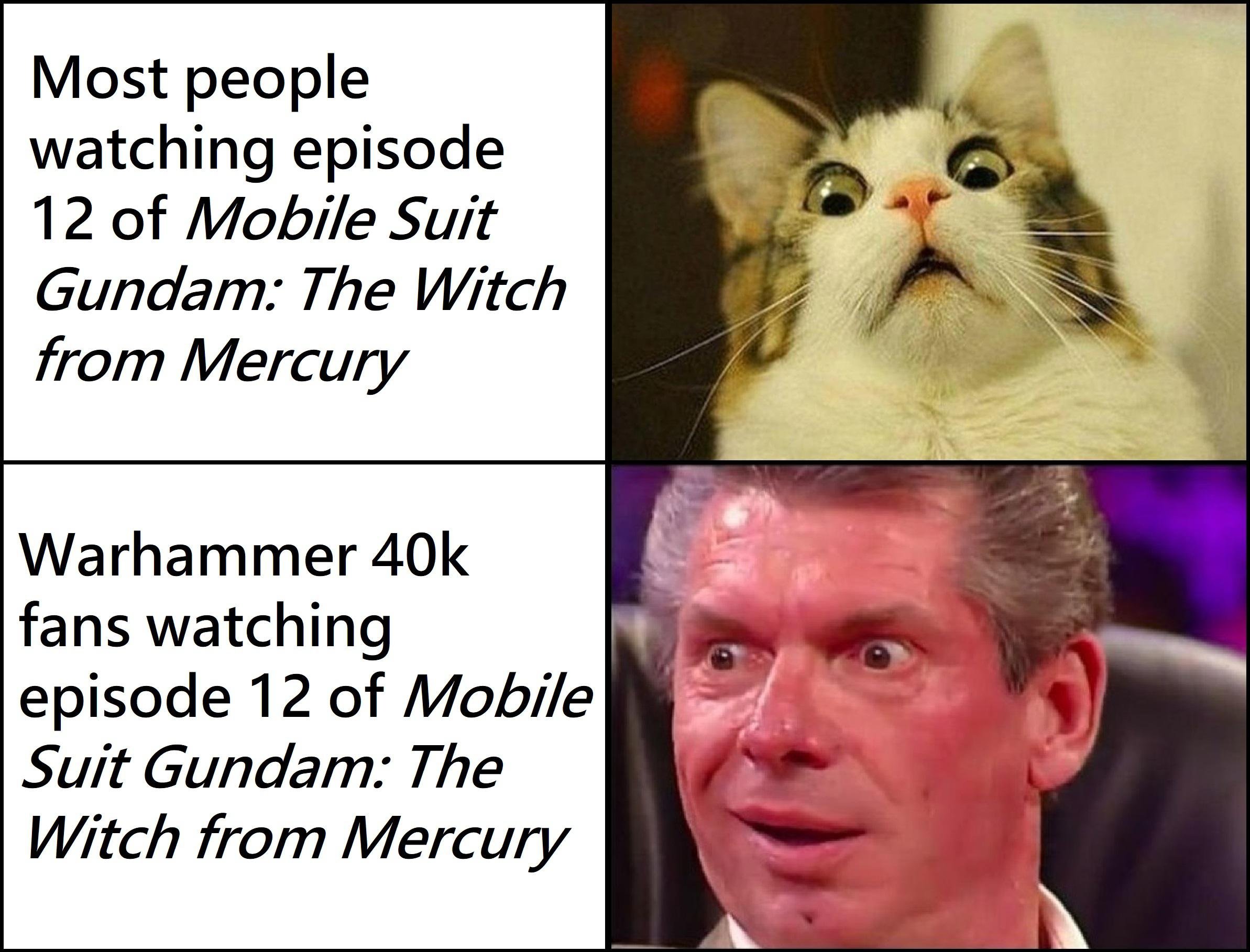 Scared cat meme shocked watching episode 12 of Mobile Suit Gundam: The Witch from Mercury with Warhammer 40k fans Scared cat meme shocked watching episode 12 of Mobile Suit Gundam: The Witch from Mercury with Warhammer 40k fans
