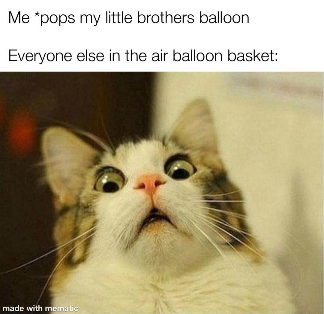 Scared cat meme horrified when someone pops the hot air balloon mid flight Scared cat meme horrified when someone pops the hot air balloon mid flight