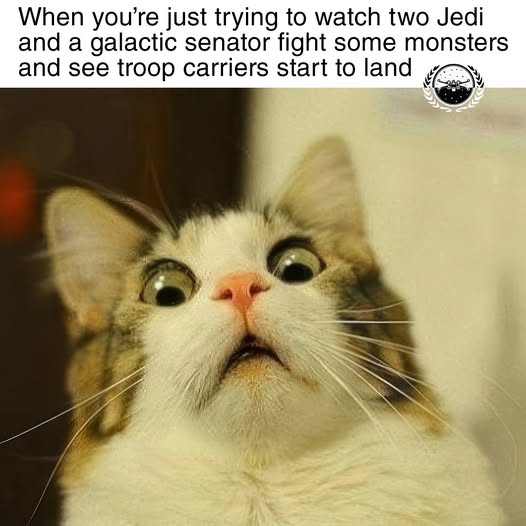 Scared cat meme shocked when watching jedi fight monsters and seeing troop carriers land Scared cat meme shocked when watching jedi fight monsters and seeing troop carriers land