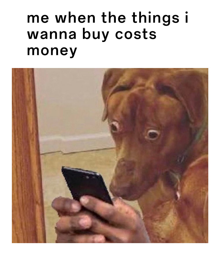 Scared dog meme shocked when things cost money