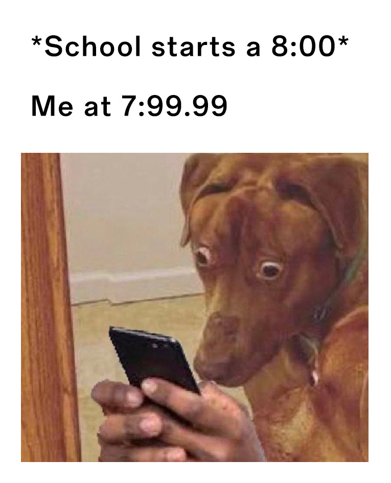 Scared dog meme panicking as school starts at 8:00
