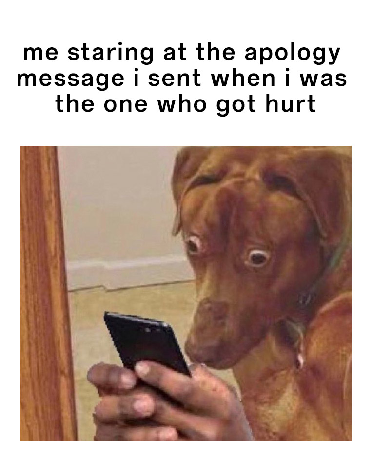 Scared dog meme staring at own apology message