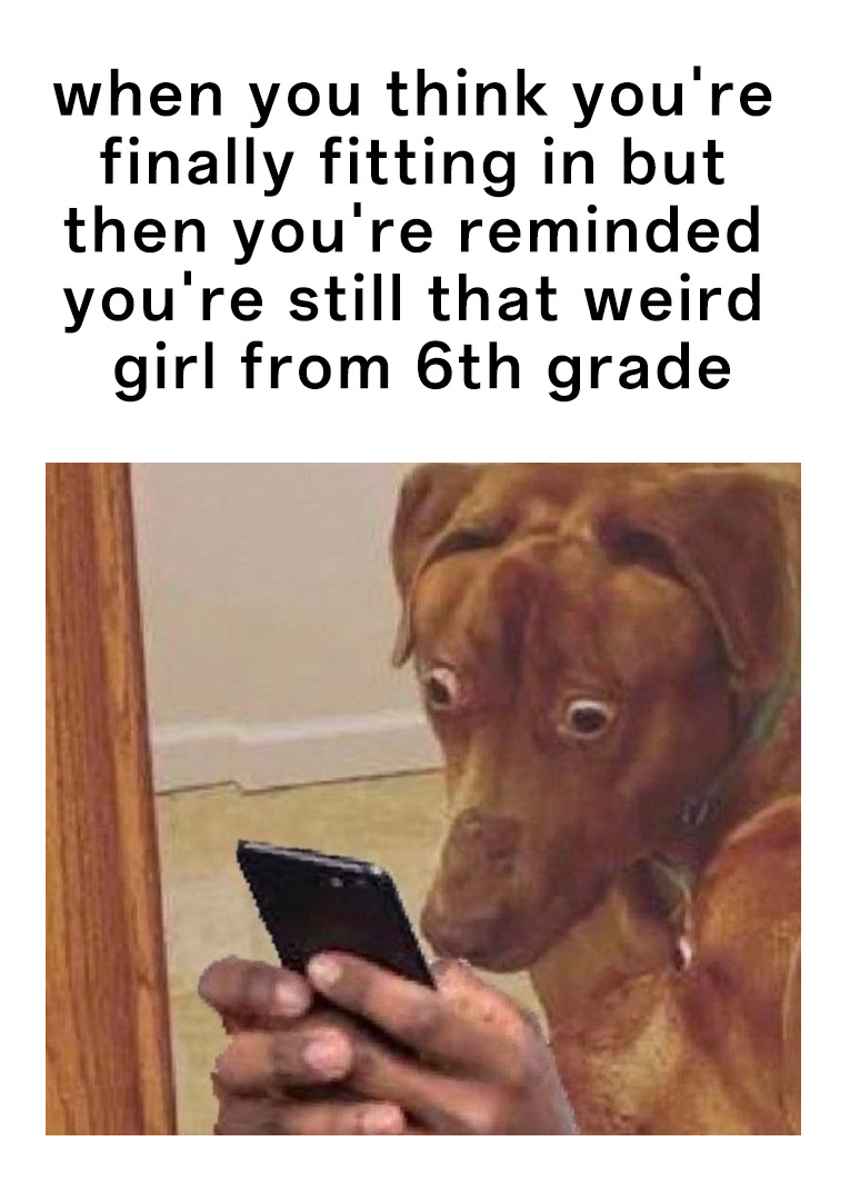 Scared dog meme shocked by old awkward school memories