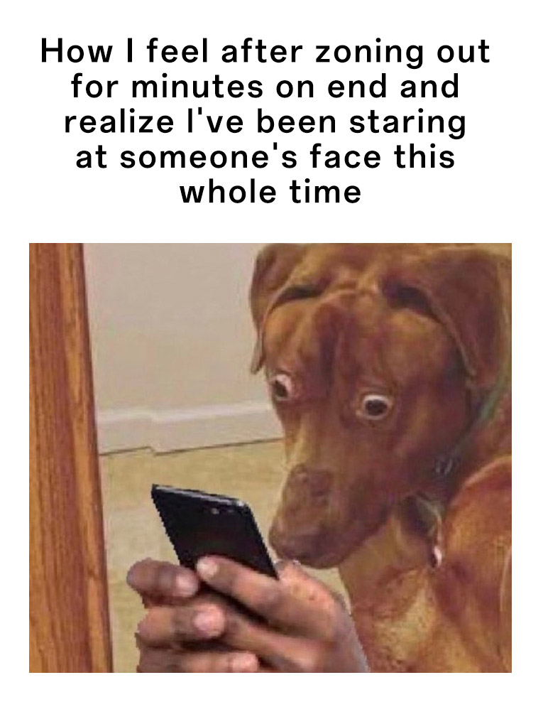 Scared dog meme zoning out and staring at someone's face