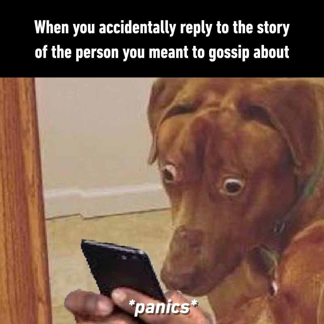 Scared dog meme panicking after replying to gossip target