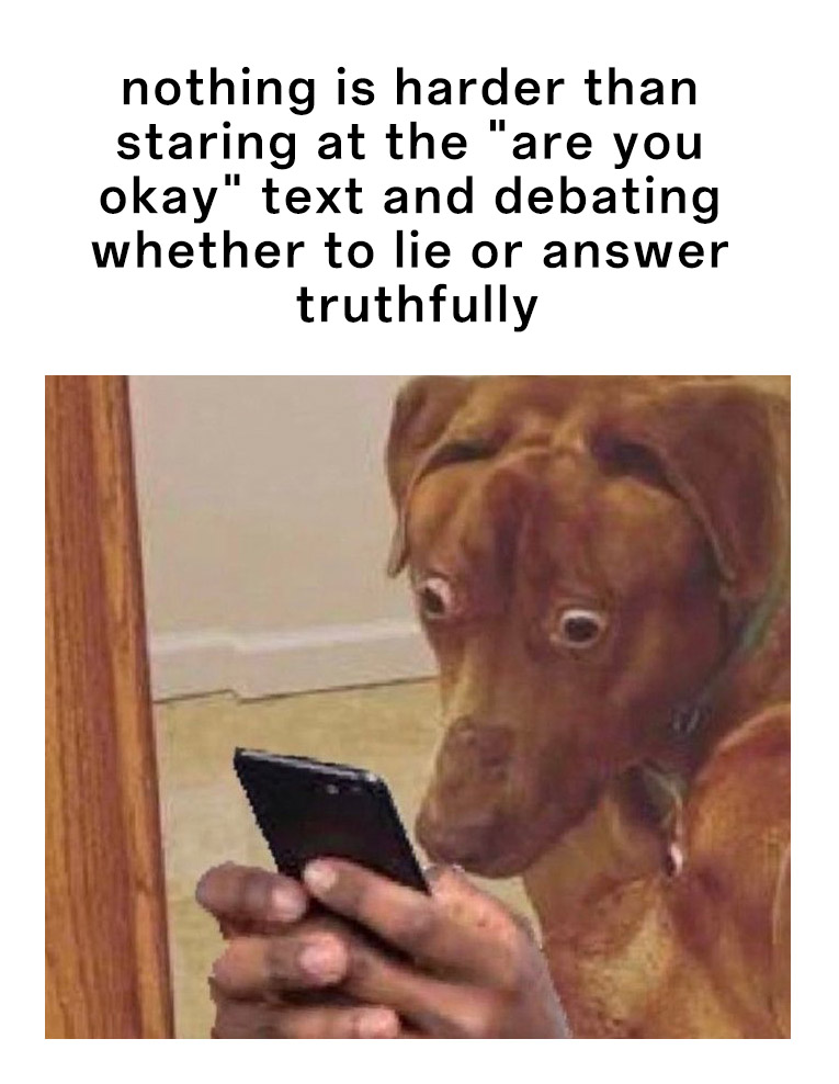 Scared dog meme leaving theater after Backrooms movie