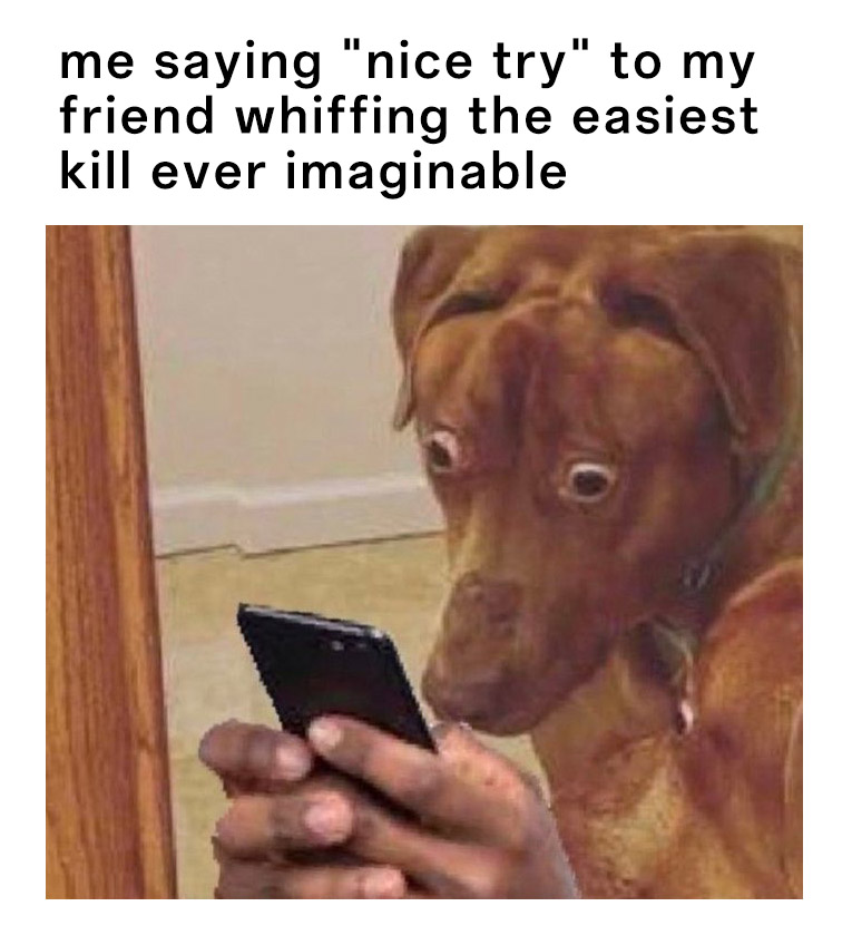 Scared dog meme reacting to friend whiffing an easy kill