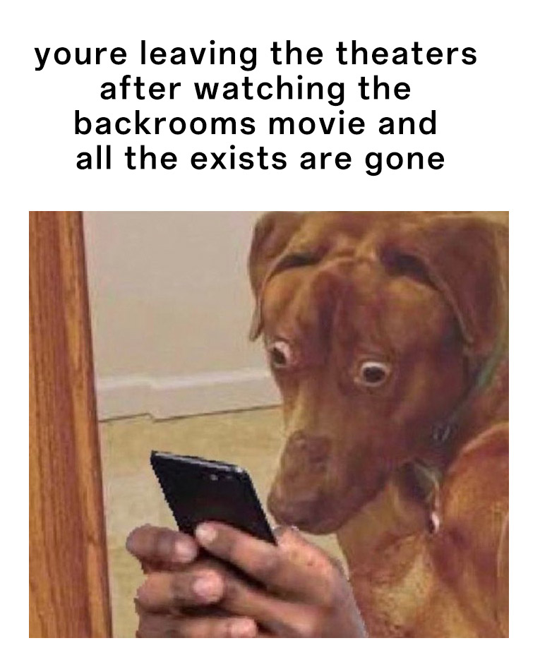 Scared dog meme leaving theater after Backrooms movie