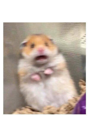 Scared hamster meme template