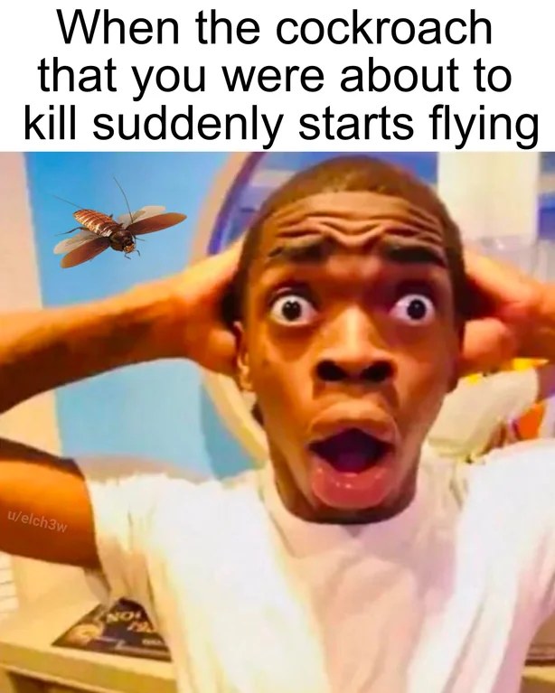 Shocked black guy meme cockroach starts flying